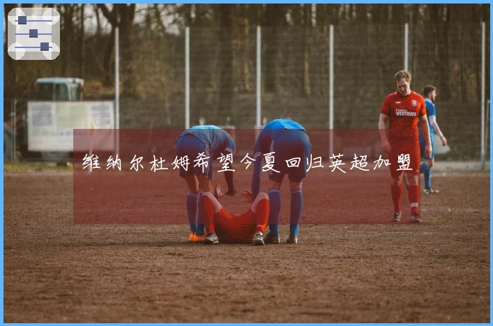 维纳尔杜姆希望今夏回归英超加盟