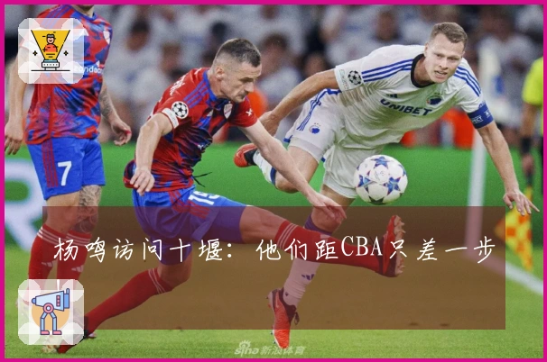 杨鸣访问十堰：他们距CBA只差一步！