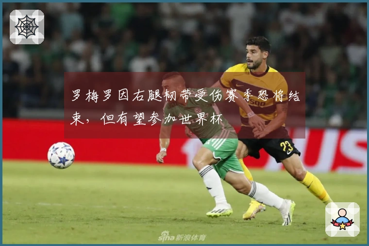 罗梅罗因右腿韧带受伤赛季恐将结束，但有望参加世界杯