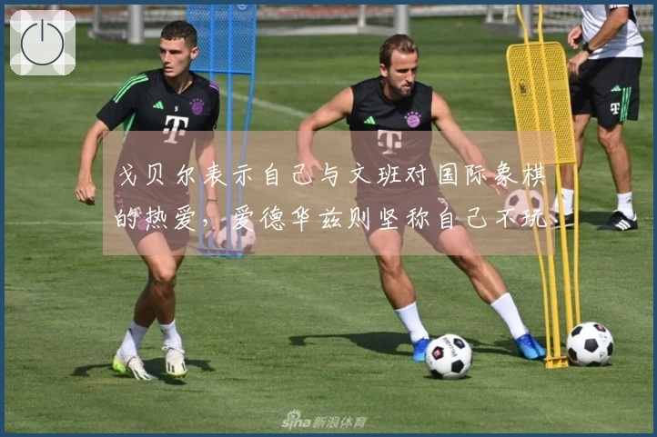 戈贝尔表示自己与文班对国际象棋的热爱，爱德华兹则坚称自己不玩！