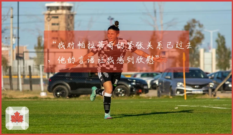 “我对帕拉蒂奇的紧张关系已过去，他的言语让我感到欣慰”